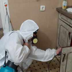 Дезинфекция от муравьев в квартире в Железногорске-Илимском