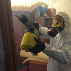 Уничтожение клопов в квартире. Железногорск-Илимский
