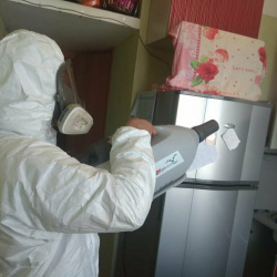 Уничтожение насекомых в квартире. Железногорск-Илимский